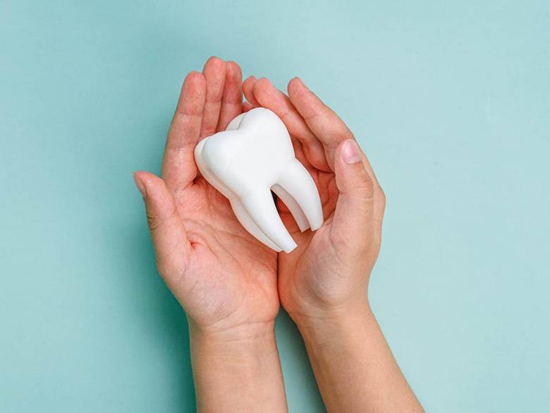 Pair of hands cradling a tooth